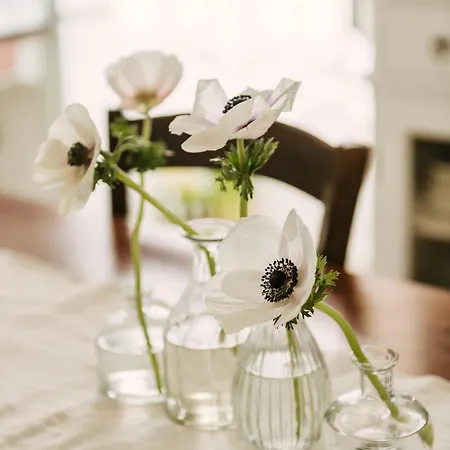 Appartamento Casa Riva 1920 *