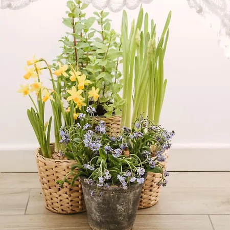 Casa Riva 1920 Appartamento